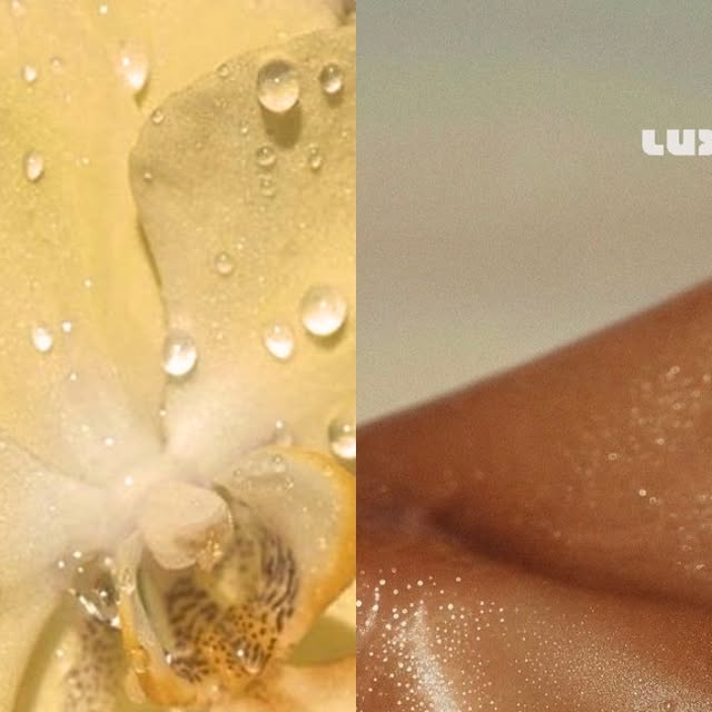 Publicación de @luxara.mx en Instagram